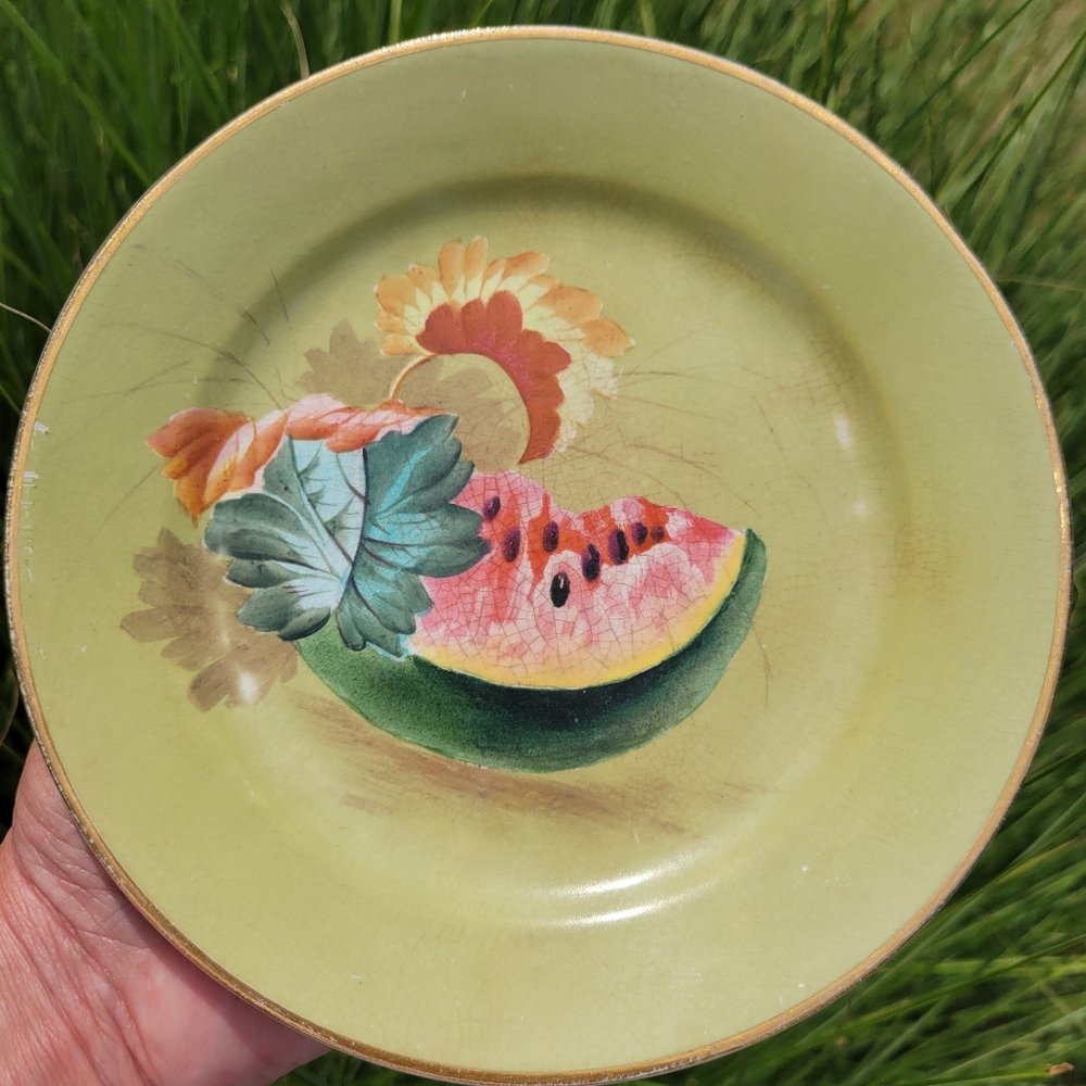 Vintage Watermelon Plate ~ Warranted Stone China ~ Fruit ~ Cottage ~ Farmhouse